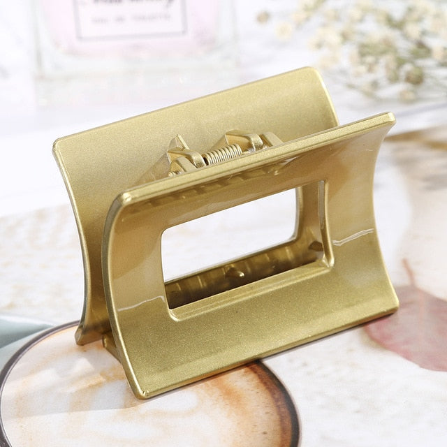 Hair Claw (20 Designs)