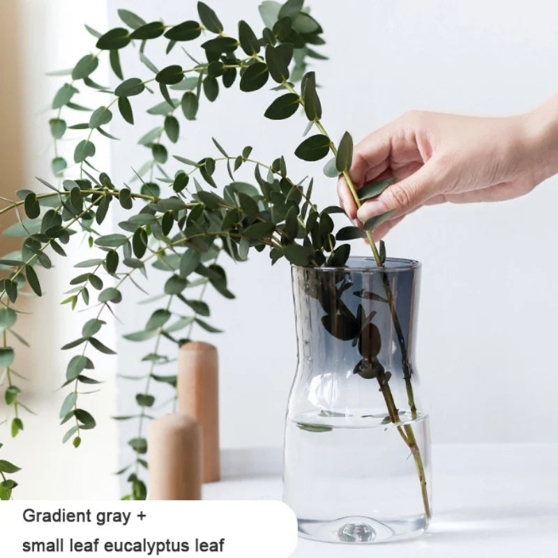 Hydroponic Vase