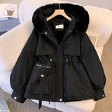 Velvet Padded Jacket