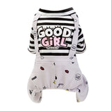 Dog Clothes (12 Designs)
