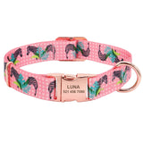 Printed Pet Collar (11 Designs)