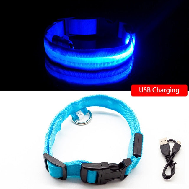 LED Dog Collar (10 Colors)