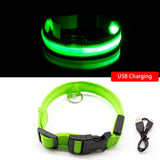 LED Dog Collar (10 Colors)