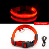 LED Dog Collar (10 Colors)