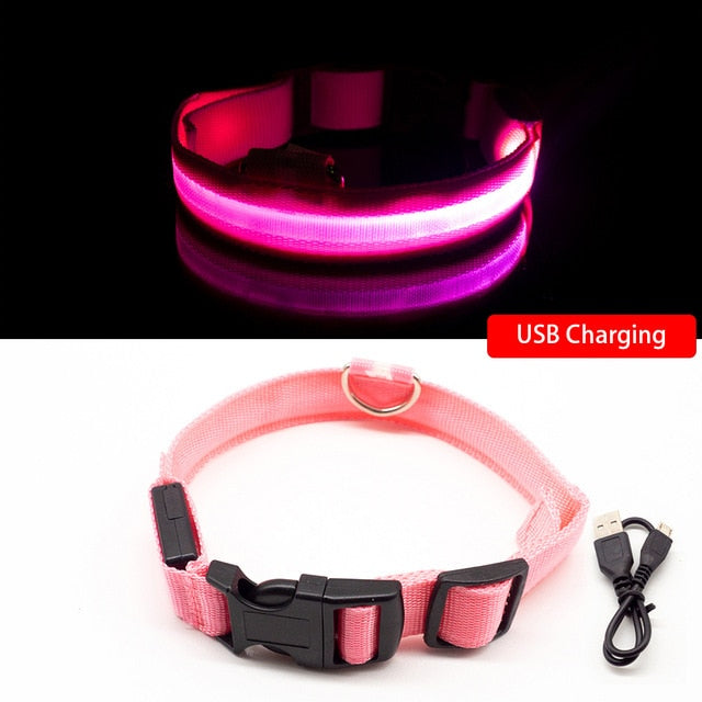 LED Dog Collar (10 Colors)