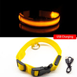 LED Dog Collar (10 Colors)