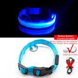 LED Dog Collar (10 Colors)