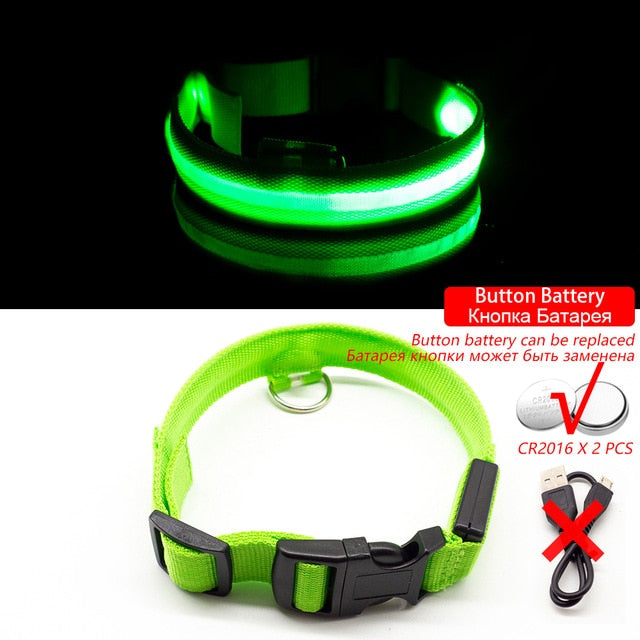 LED Dog Collar (10 Colors)