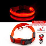 LED Dog Collar (10 Colors)