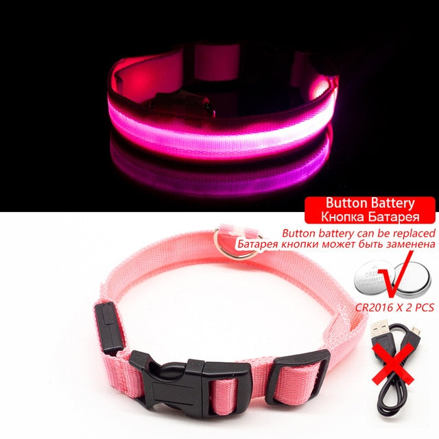 LED Dog Collar (10 Colors)