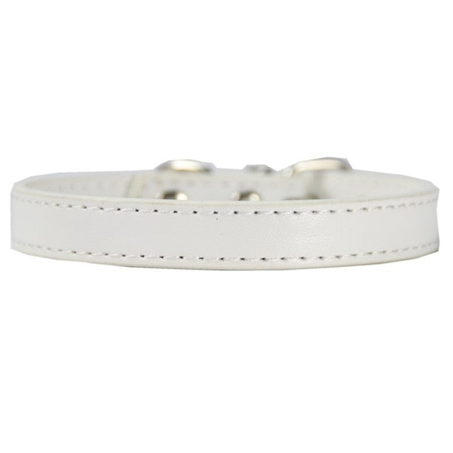 Leather Pet Collar (8 Colors)