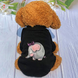 Winter Pet Clothes (8 Designs)