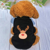 Winter Pet Clothes (8 Designs)