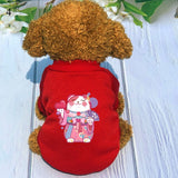 Winter Pet Clothes (8 Designs)